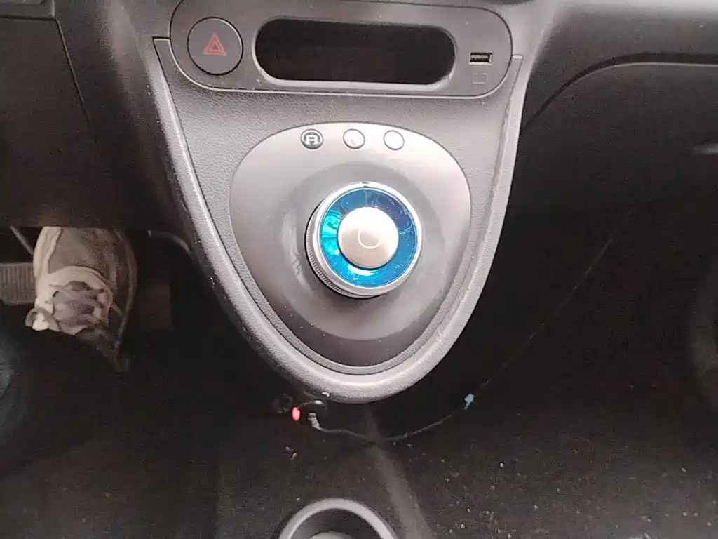 Ora Black Cat 2019 2019 Model 351km Smart Fun Edition