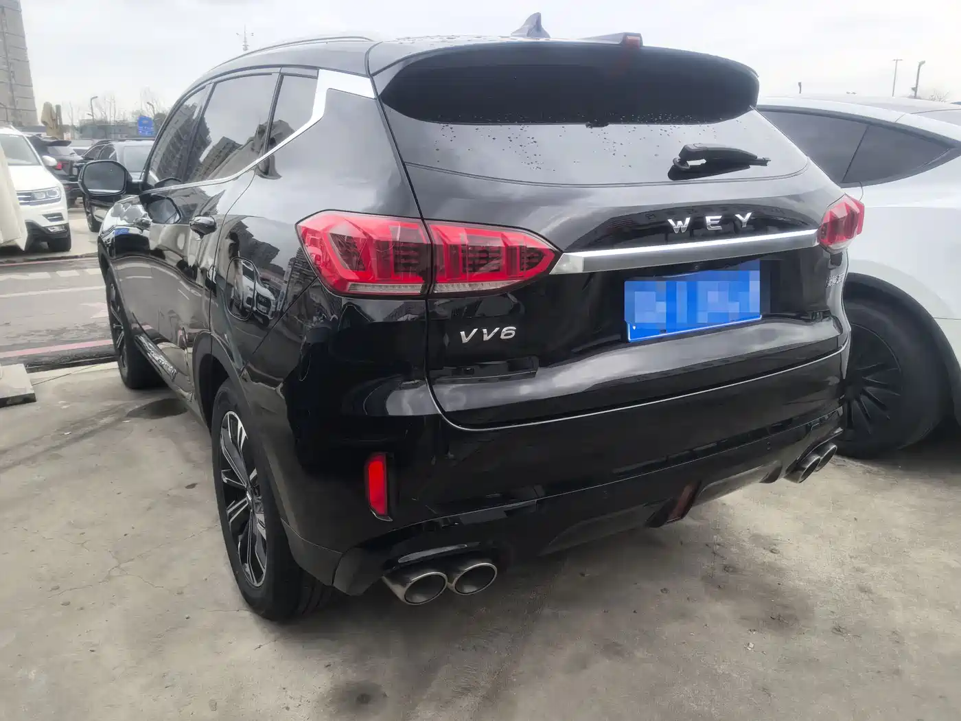 WEI PAI WEI BRAND VV6