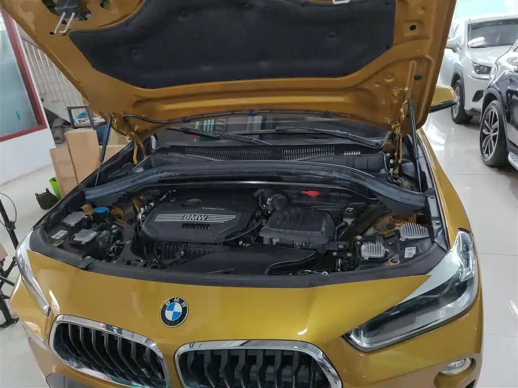 BMW X2 (Import) 2019 sDrive20i M Off-Road Package China VI фото 20