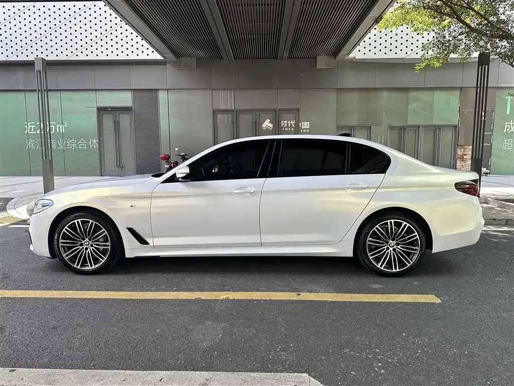 BMW 5 Series 2019 530Li Leading M Sport Package фото 10