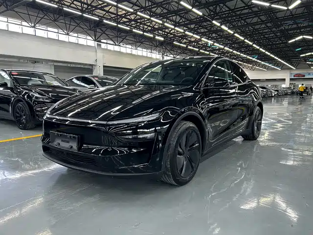 Tesla Model Y 2025 Long Range All-Wheel Drive