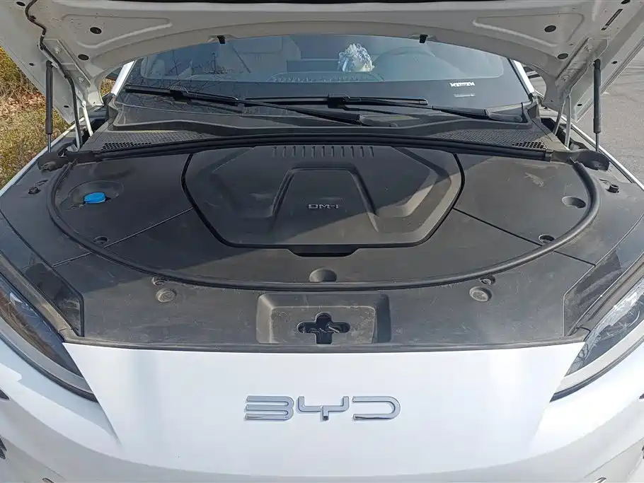 BYD SONGJIANG NEW ENERGY