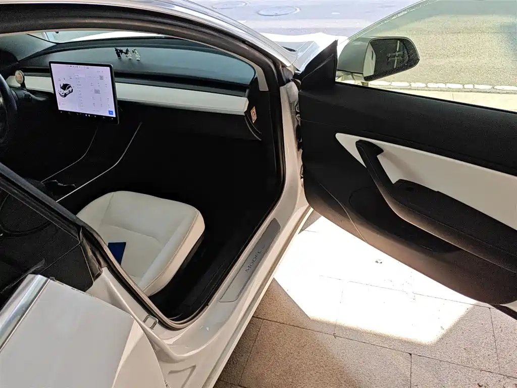 TESLA MODEL 3 (IMPORTED)
