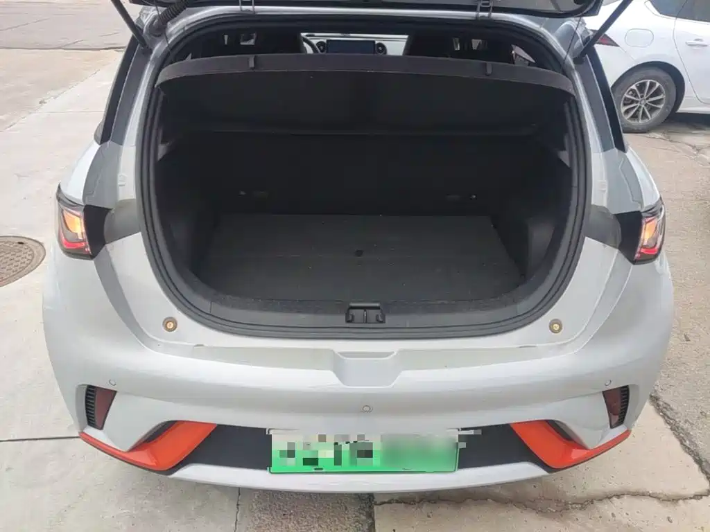 BYD Dolphin 2021 2021 Model 405km Fashion Edition