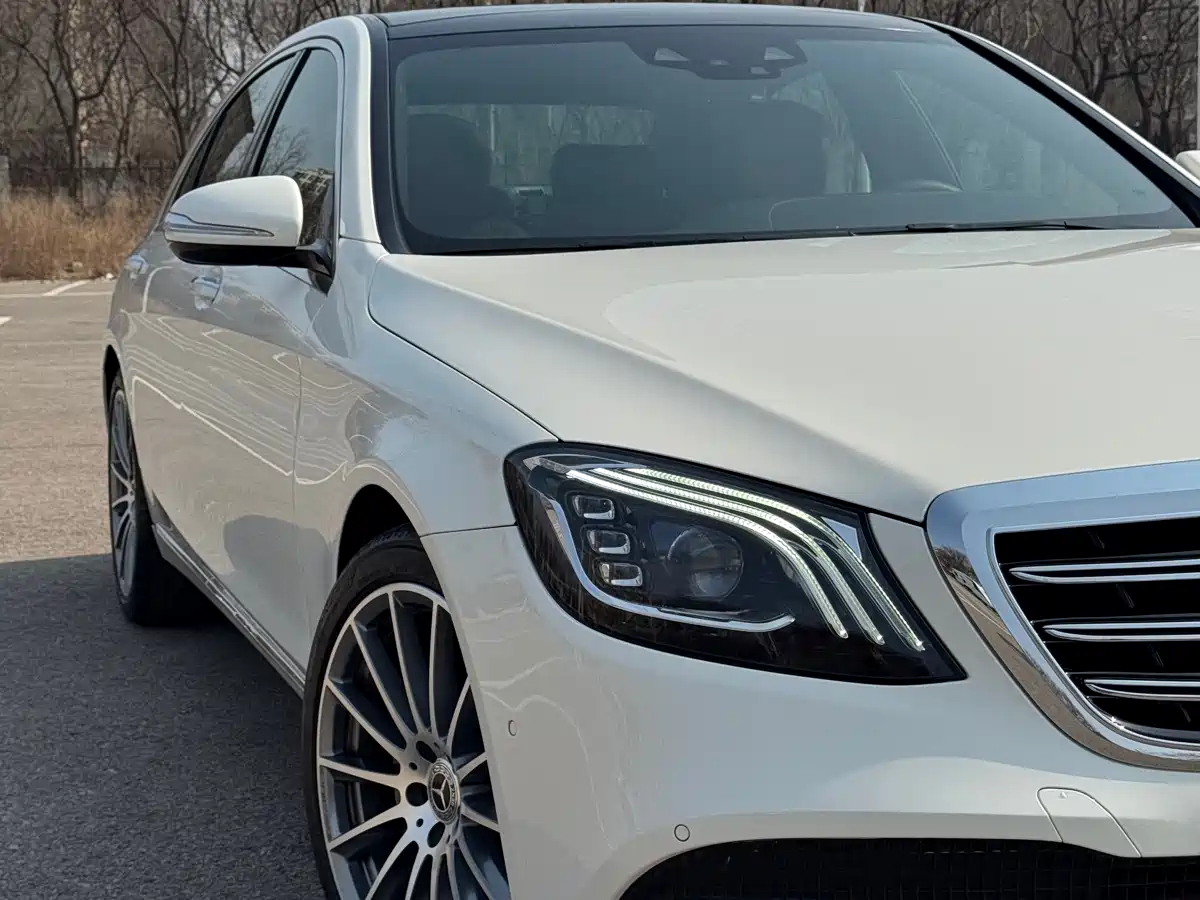 Mercedes-Benz S-Class 2018 S 320 L фото 7