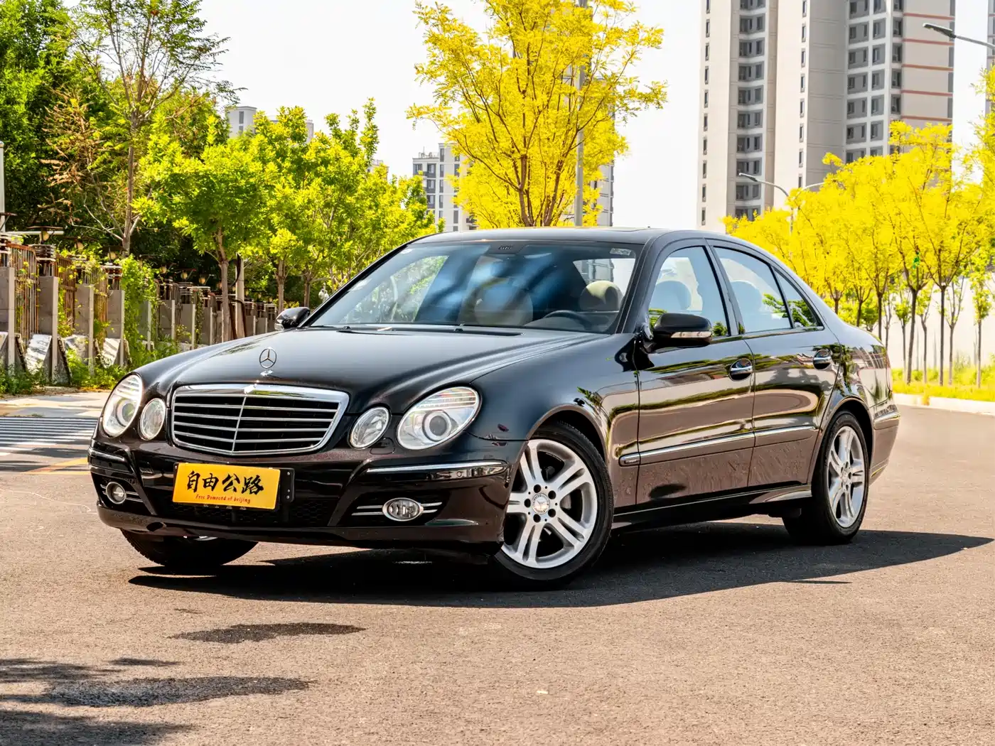 Mercedes-Benz E-Class 2009 2007 Model E 230 Elegance
