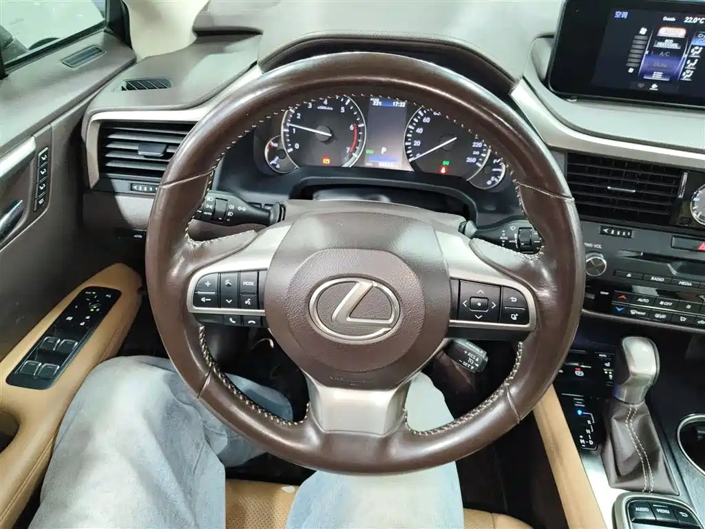 LEXUS RX