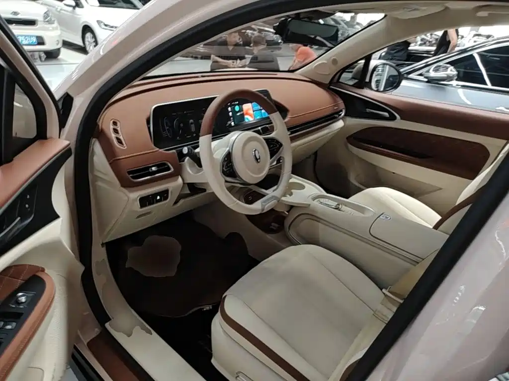 Ora Good Cat 2025 2024 401km Luxury