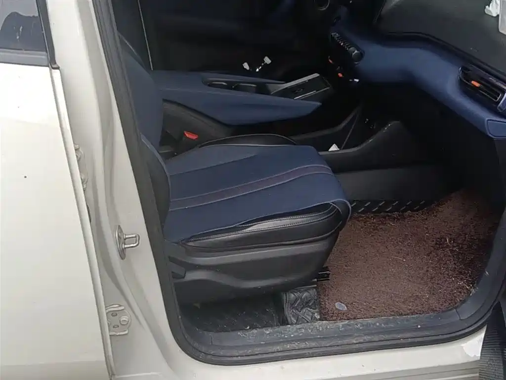 BYD Seagull 2023 Freedom Edition фото 25