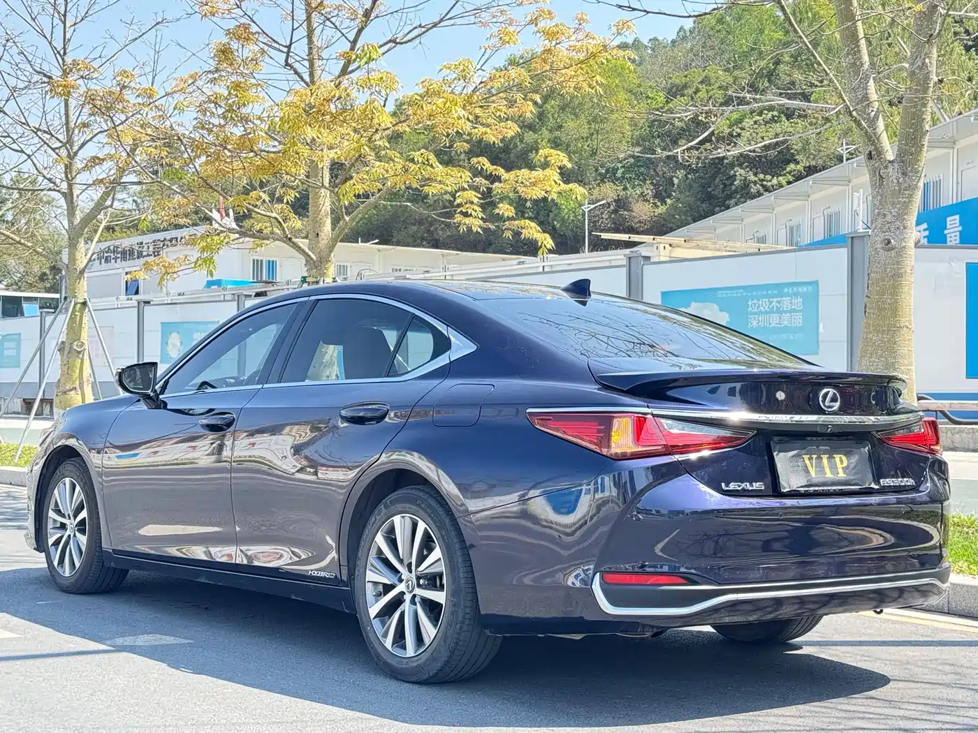 Lexus ES 2020 Model 300h Excellence Edition China V фото 6