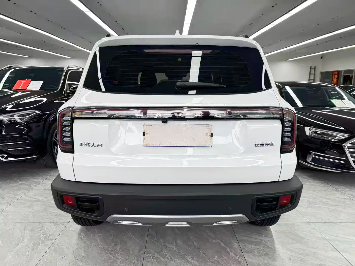Haval Big Dog 2025 2024 1.5T DCT Border Collie Edition