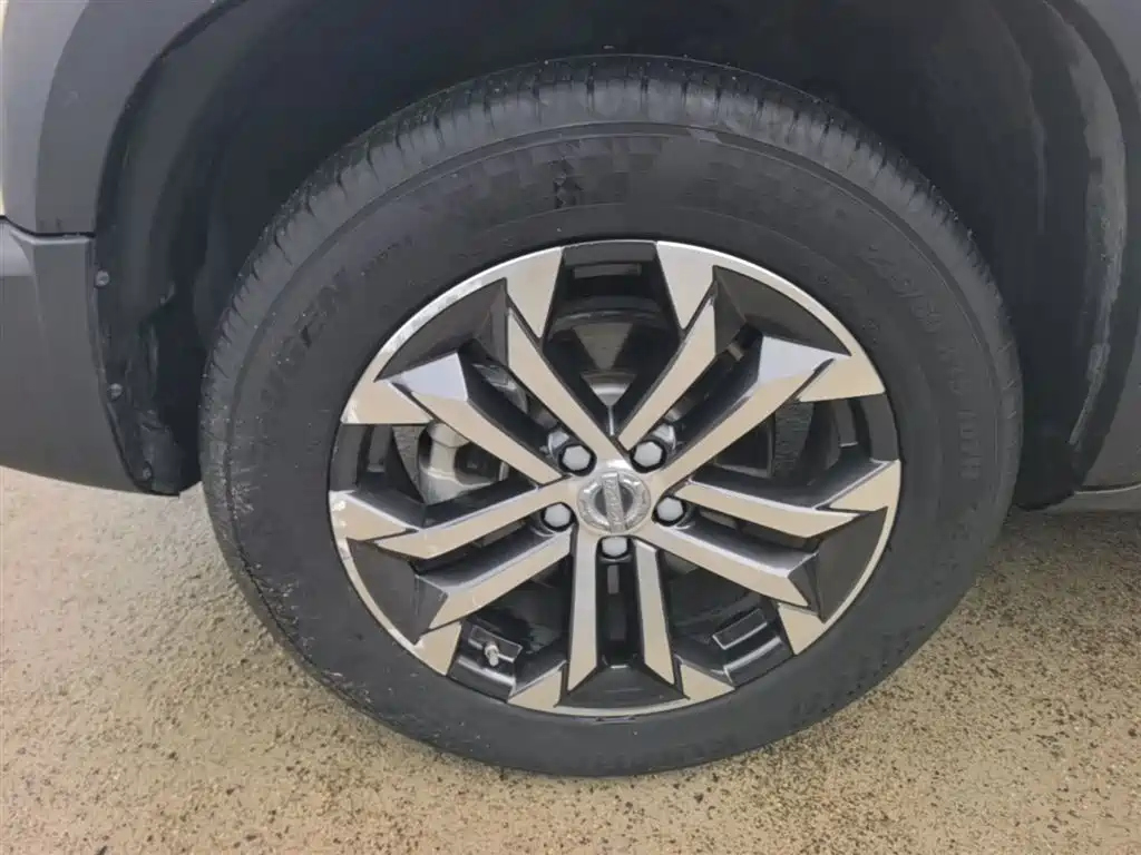 Haval Big Dog 2022 1.5T DCT FWD Border Collie Edition фото 23
