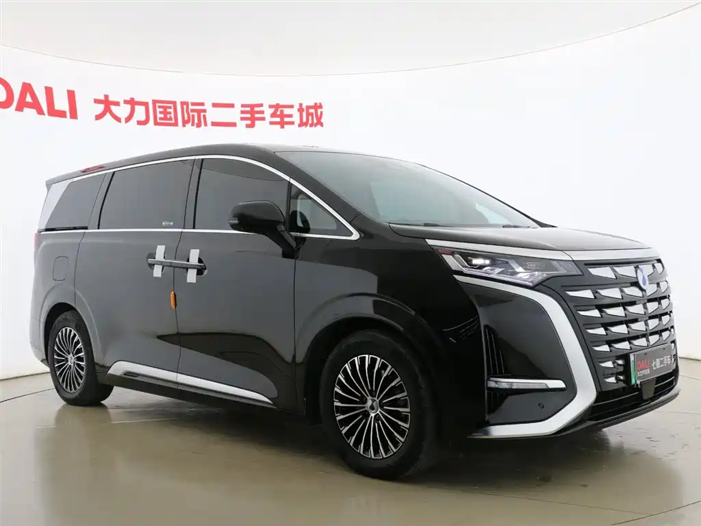 Denza D9 2024 DM-i 980 AWD Premium фото 5