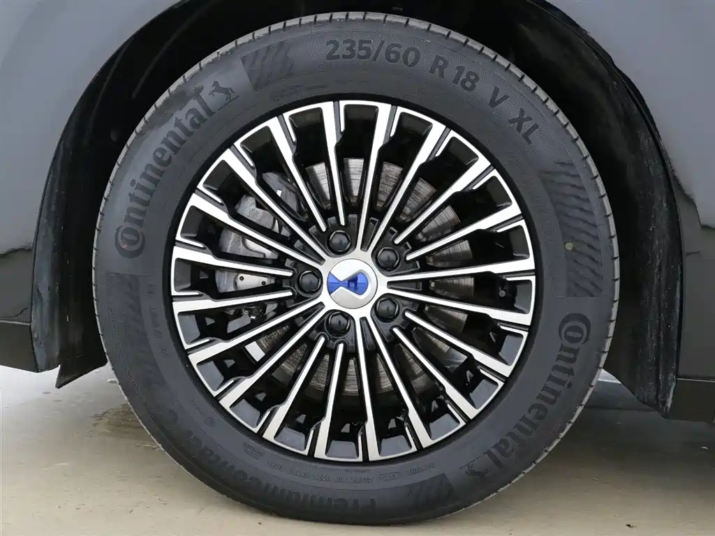 Denza D9 2024 DM-i 980 AWD Premium фото 8