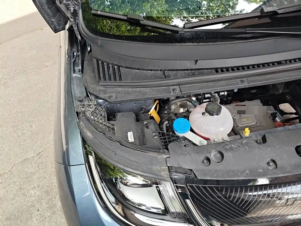 BYD Dolphin 2026 2025 420km Freedom Edition