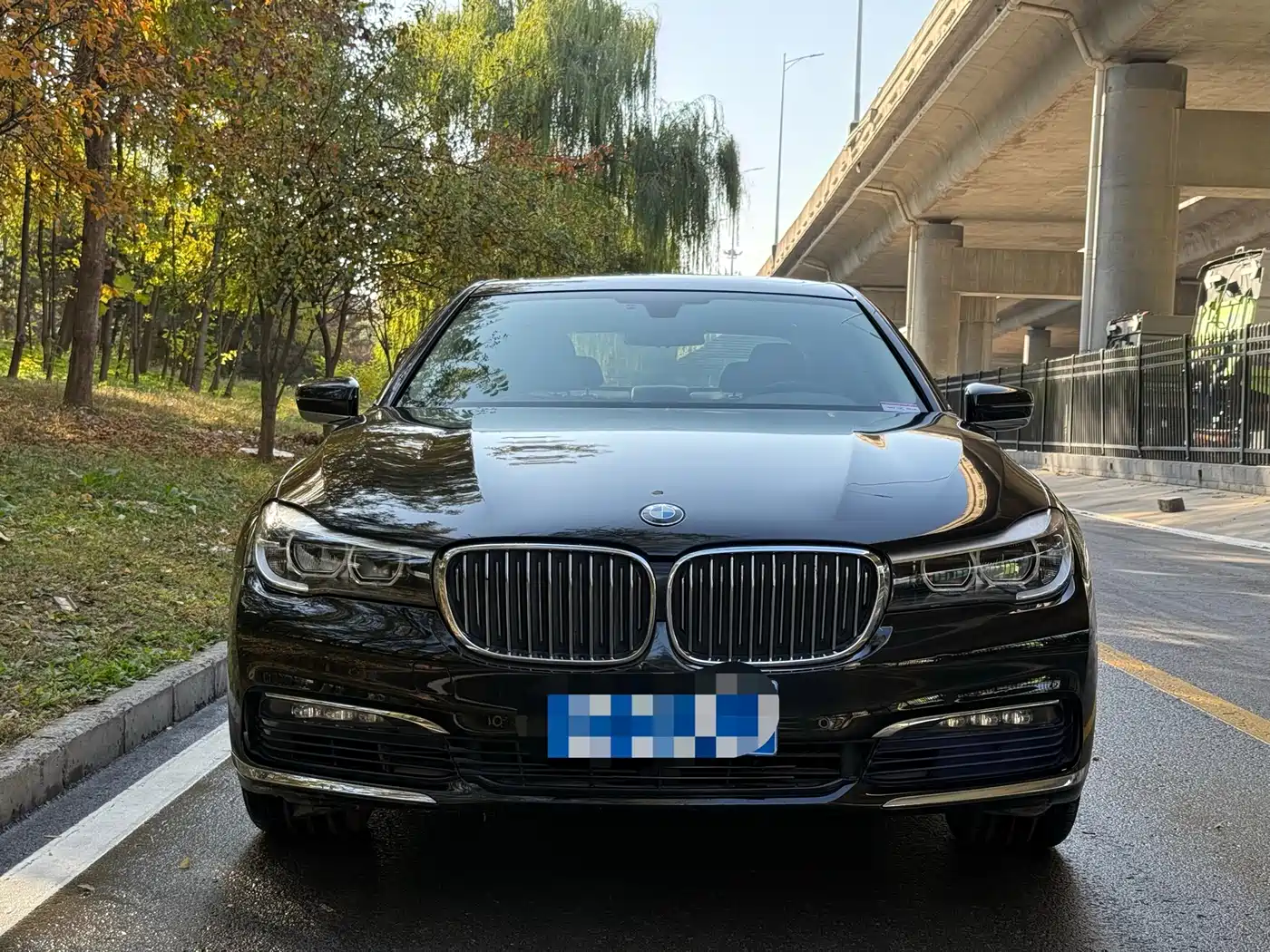BMW 7 Series 2016 730Li Leading фото 2