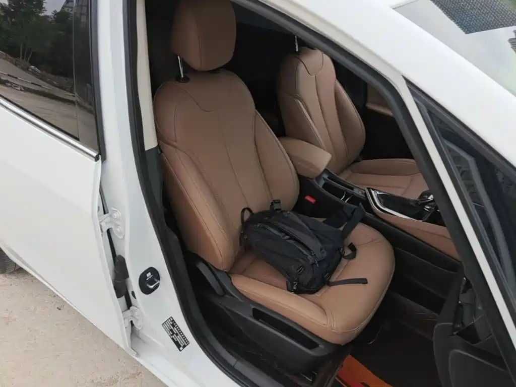 Фото 20 - Buick GL6