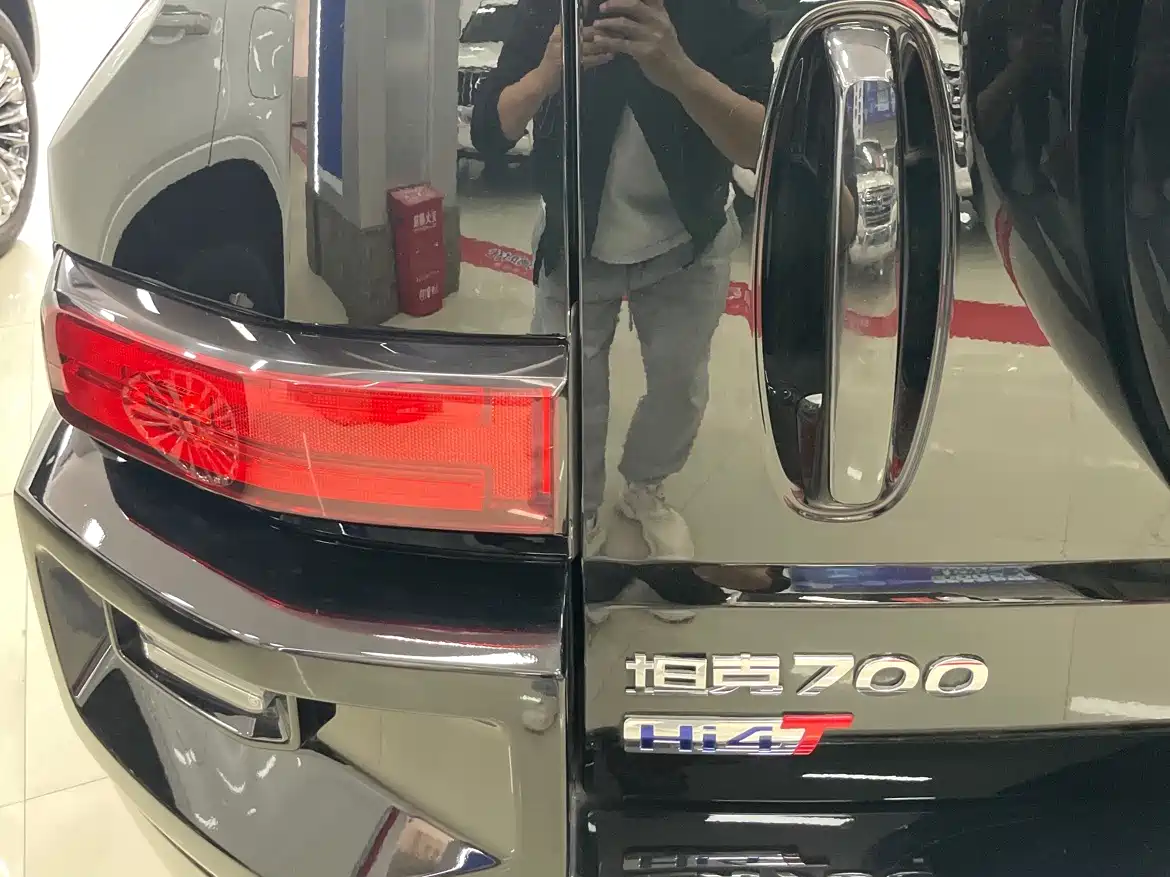 Tank 700 New Energy 2024 Hi4-T Ultimate Edition фото 14
