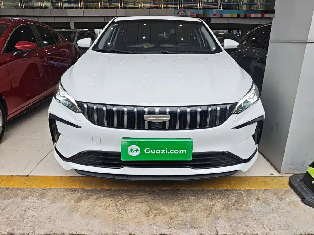 Фото 3 - Geely Binrui