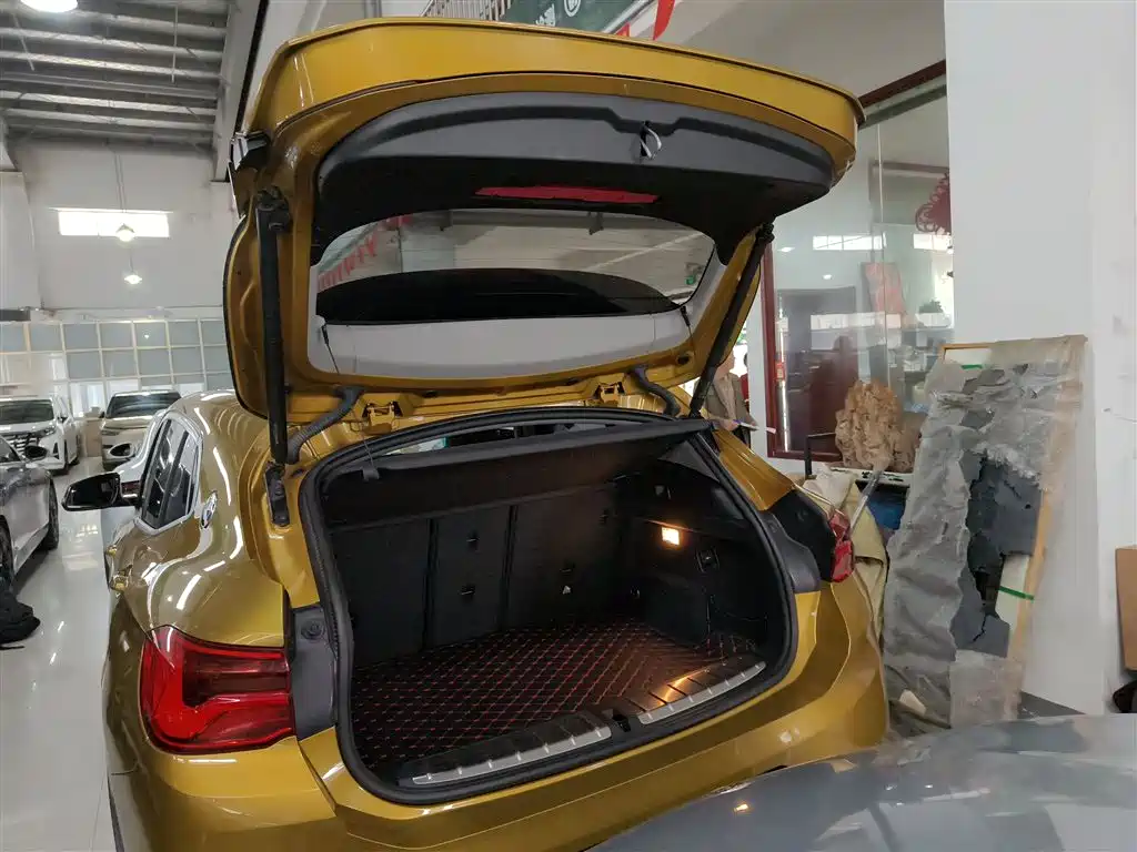 BMW X2 (Import) 2019 sDrive20i M Off-Road Package China VI фото 19