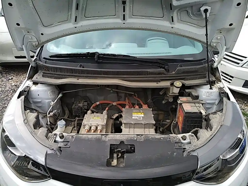 JMCG New Energy Little Kirin 2024 2024 201km Comfort Model