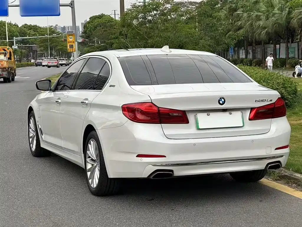BMW 5 Series New Energy 2019 530Le Luxury Package фото 13