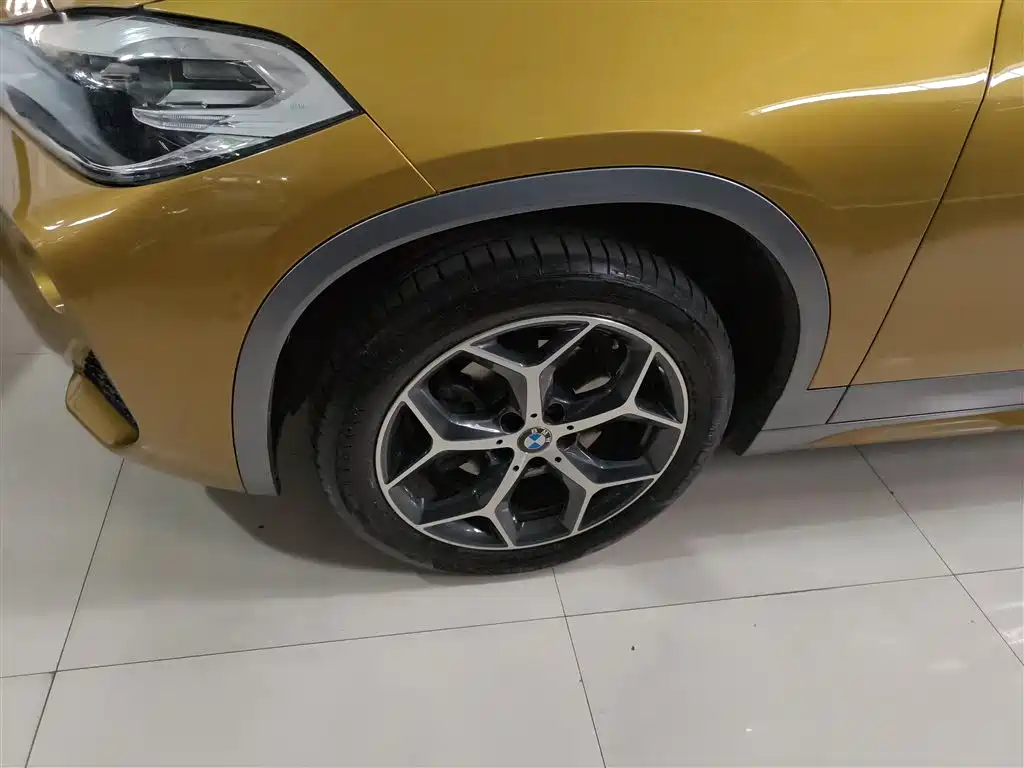 BMW X2 (Import) 2019 sDrive20i M Off-Road Package China VI фото 23