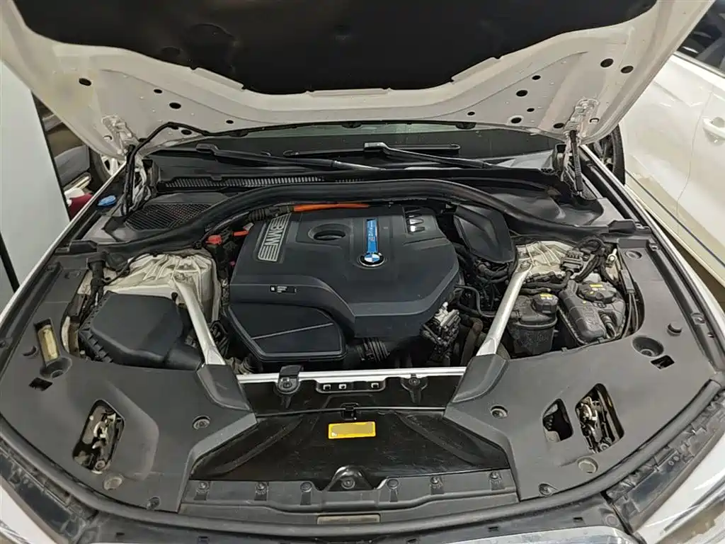 BMW 5 Series New Energy 2019 530Le Luxury Package фото 19