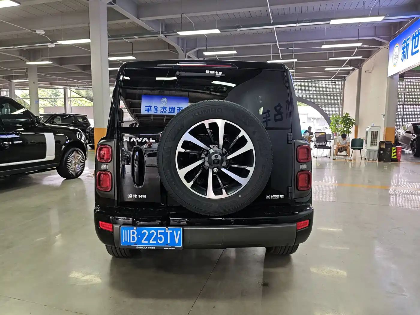 Haval H9 2025 2024 2.0T Gasoline AWD Extreme Edition