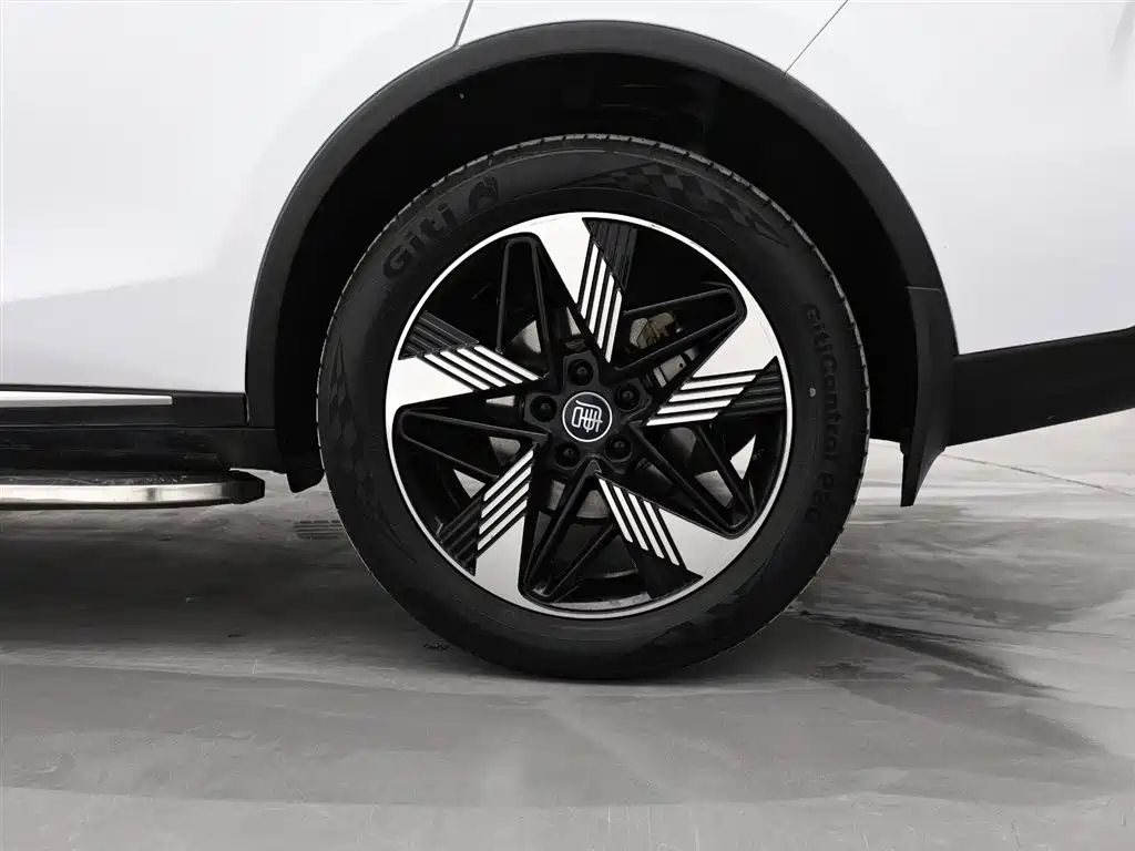 BYD Tang New Energy 2023 Model DM-i Champion Edition 112KM Deluxe фото 8