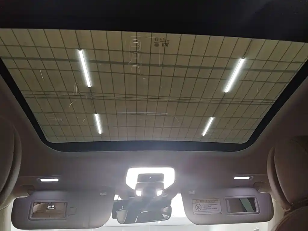 Hongqi H9 2025 2024 2.0T Qi Enjoy Private Fashion Edition