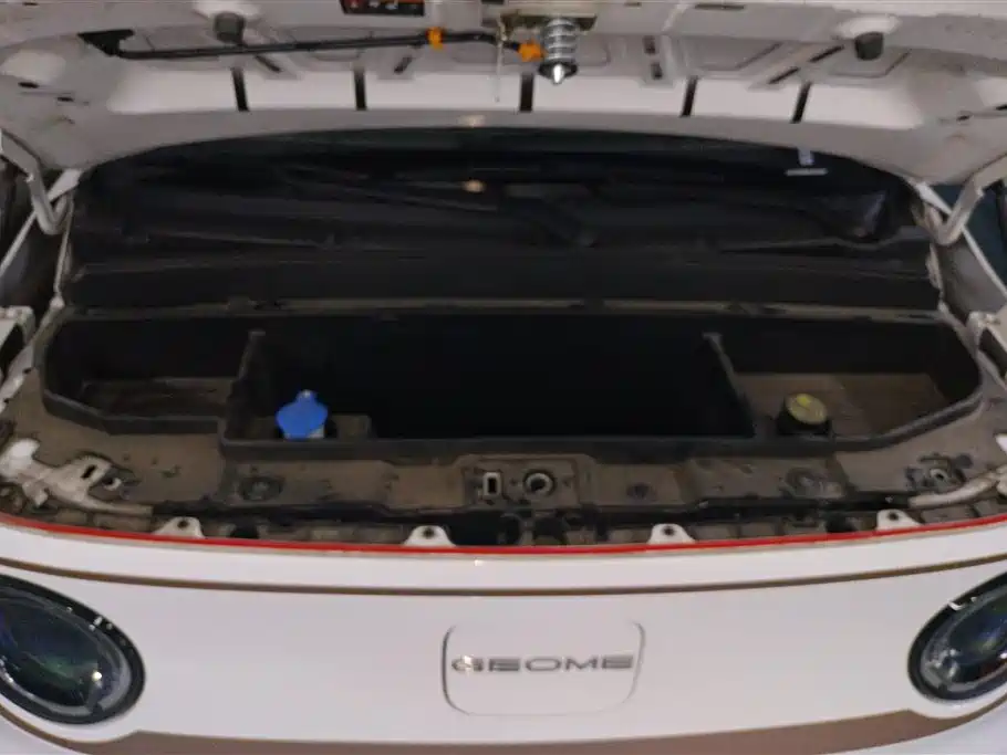 Geely Galaxy Panda 2024 Panda mini 200km Endurance Bear фото 10