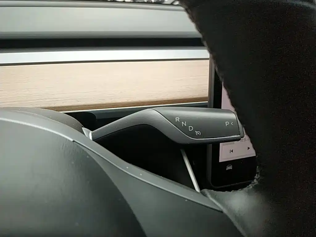 Tesla Model 3 2020 2020 Standard Range Rear-Wheel Drive Upgrade