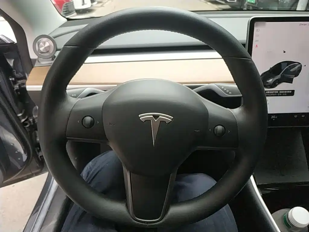 Tesla Model 3 2020 2020 Standard Range Rear-Wheel Drive Upgrade