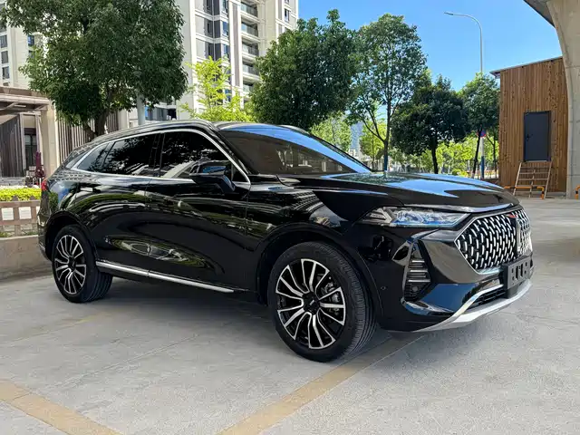 WEI PAI WEI BRAND MOCHA