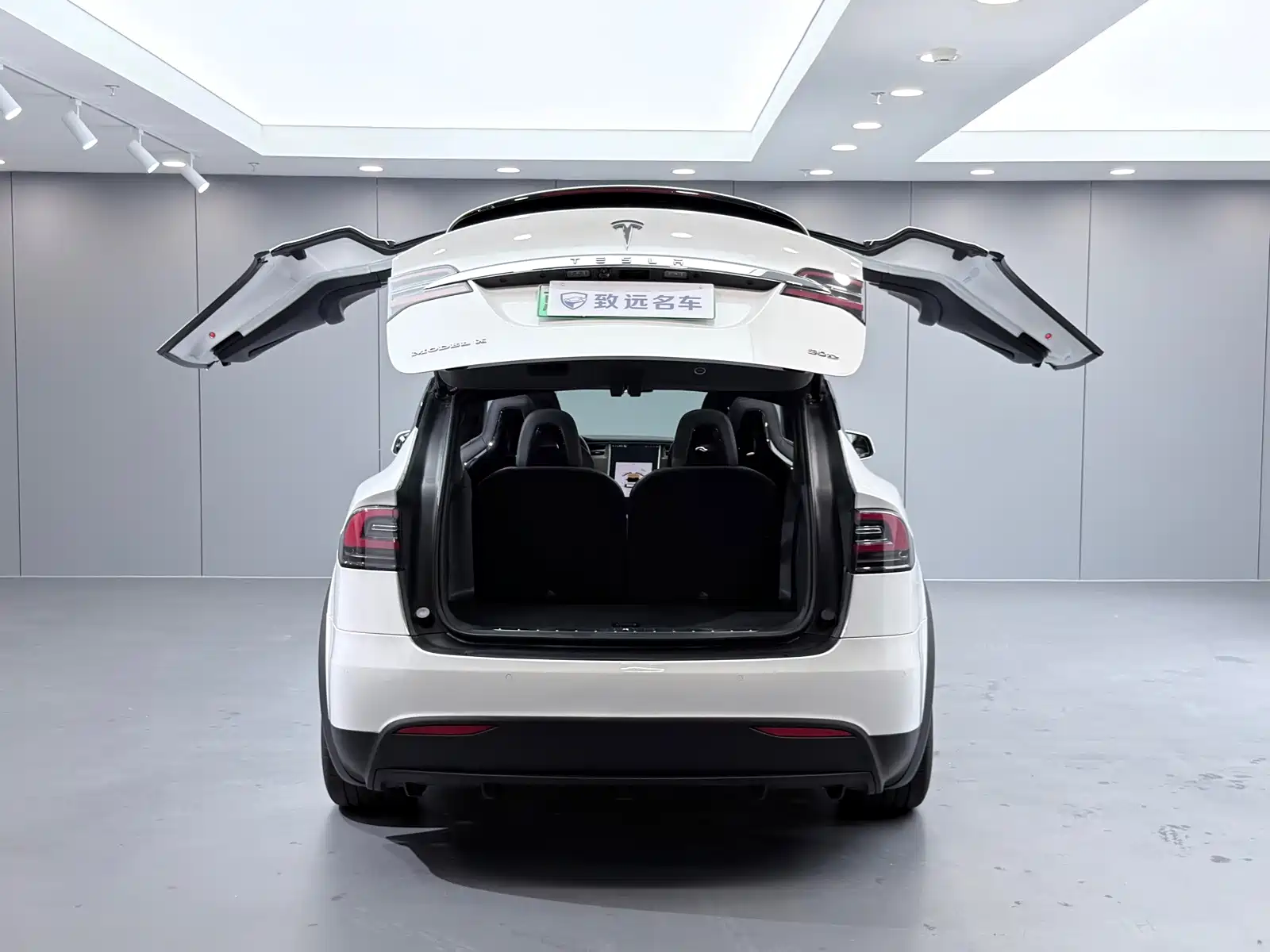 Фото 26 - Tesla Model X