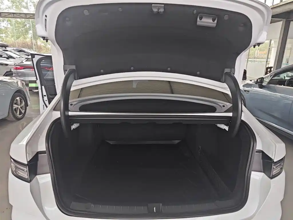 BYD Destroyer 05 2024 Glory Edition DM-i 55KM Luxury фото 19