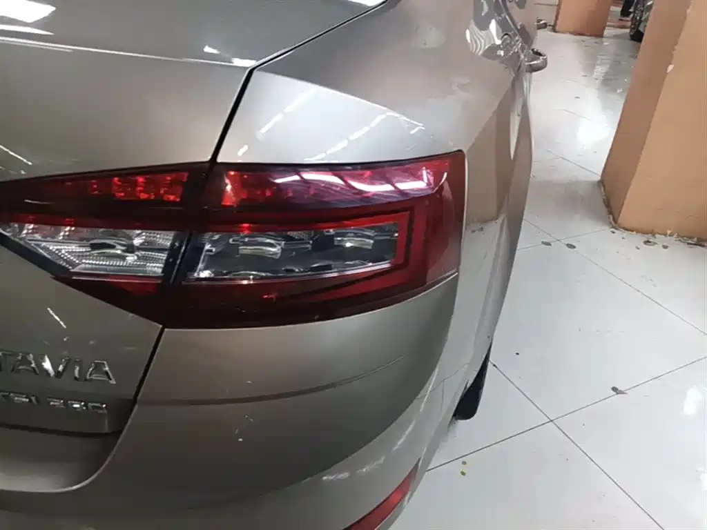 Škoda Octavia 2019 TSI280 DSG Smart Drive Luxury Edition China VI фото 8