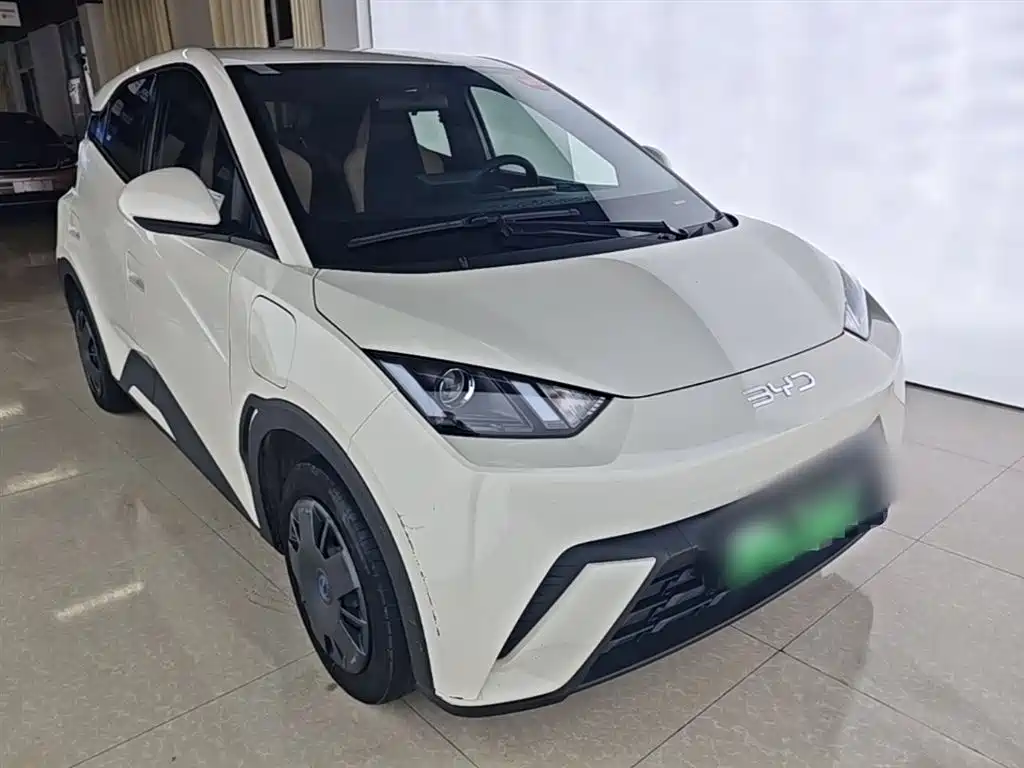 BYD Seagull 2024 Glory Edition 305km Vitality Edition фото 4