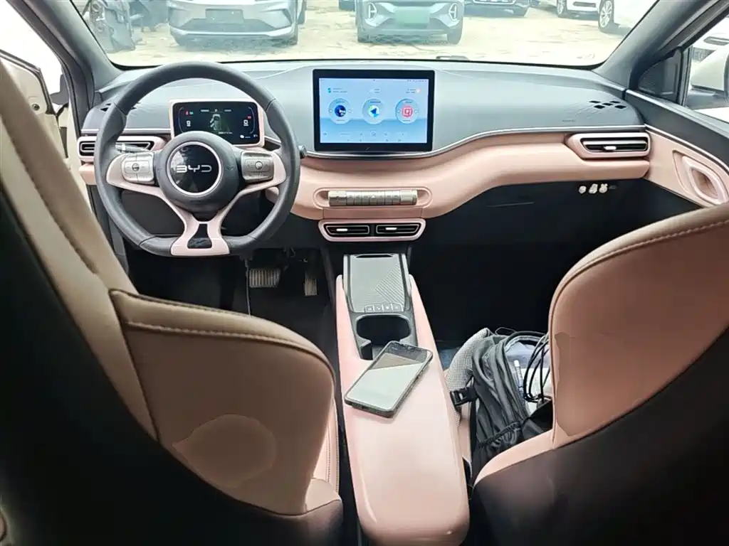 BYD Seagull 2024 Glory Edition 305km Vitality Edition фото 10