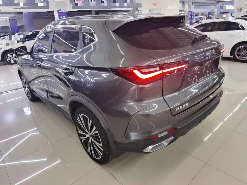 Фото 5 - Changan Oshan Changan Oushang X5