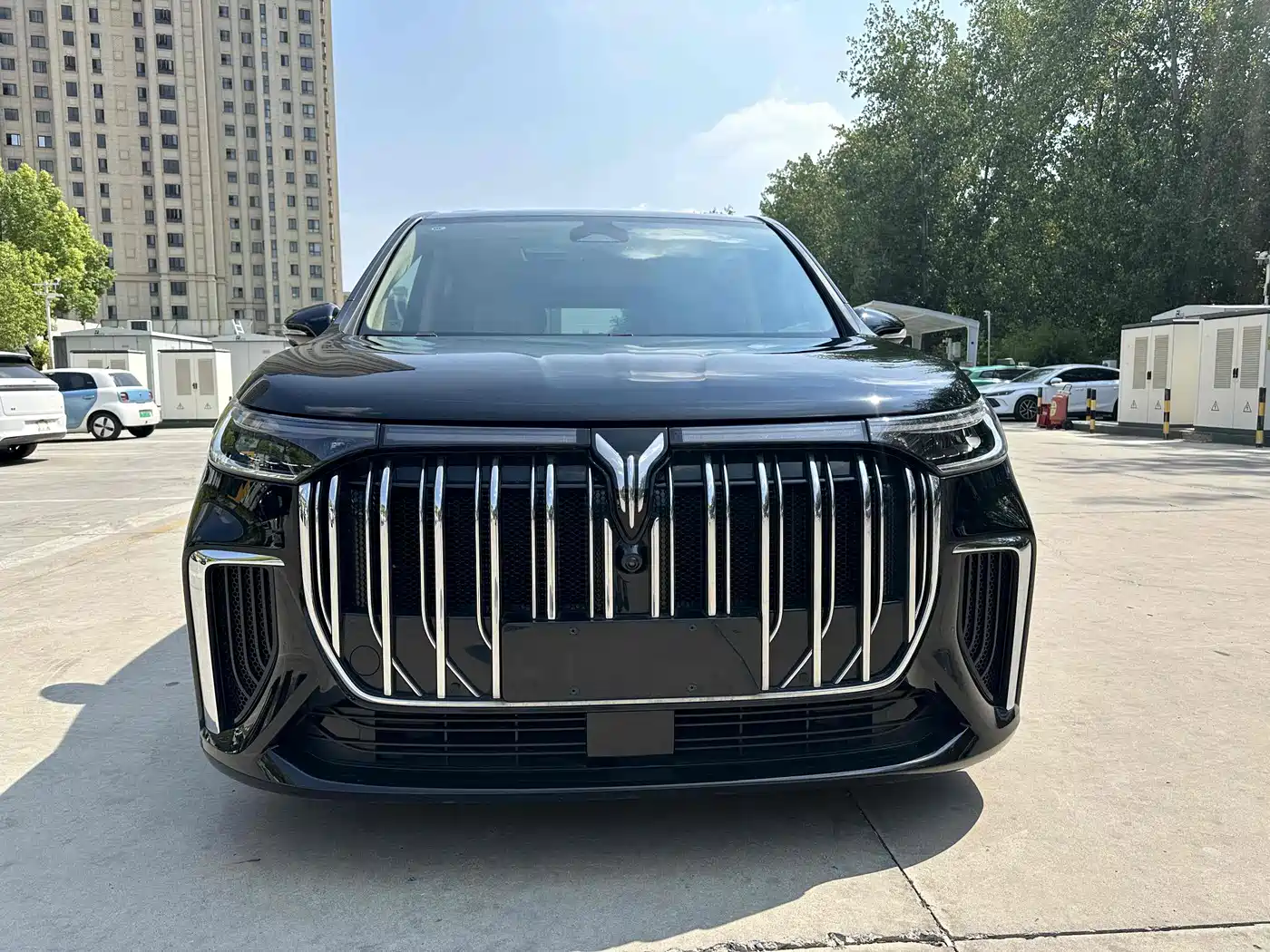 Voyah Auto Voyah Dreamer 2024 PHEV Extended Range Flagship Edition фото 2