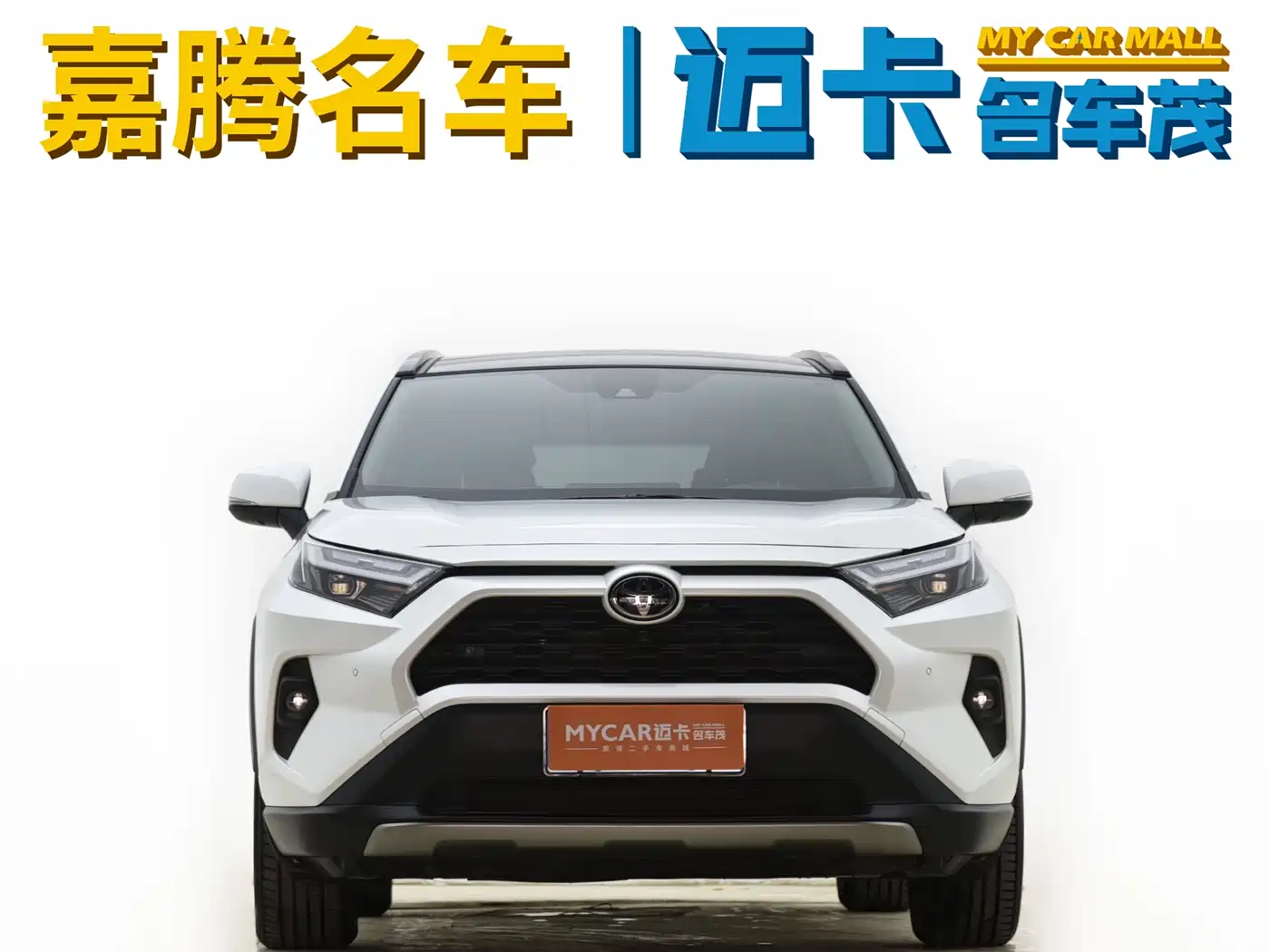 Toyota RAV4 Rongfang 2023 2.0L CVT FWD Style Plus Edition фото 2