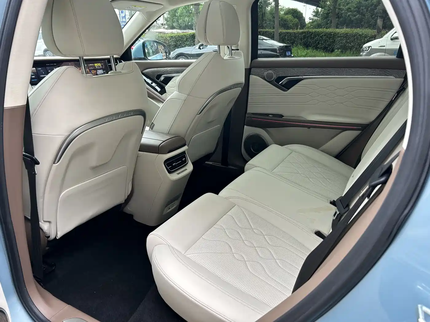 Voyah Auto VOYAH FREE 2021 4WD Extended Range Launch Edition Exclusive Luxury Package фото 6