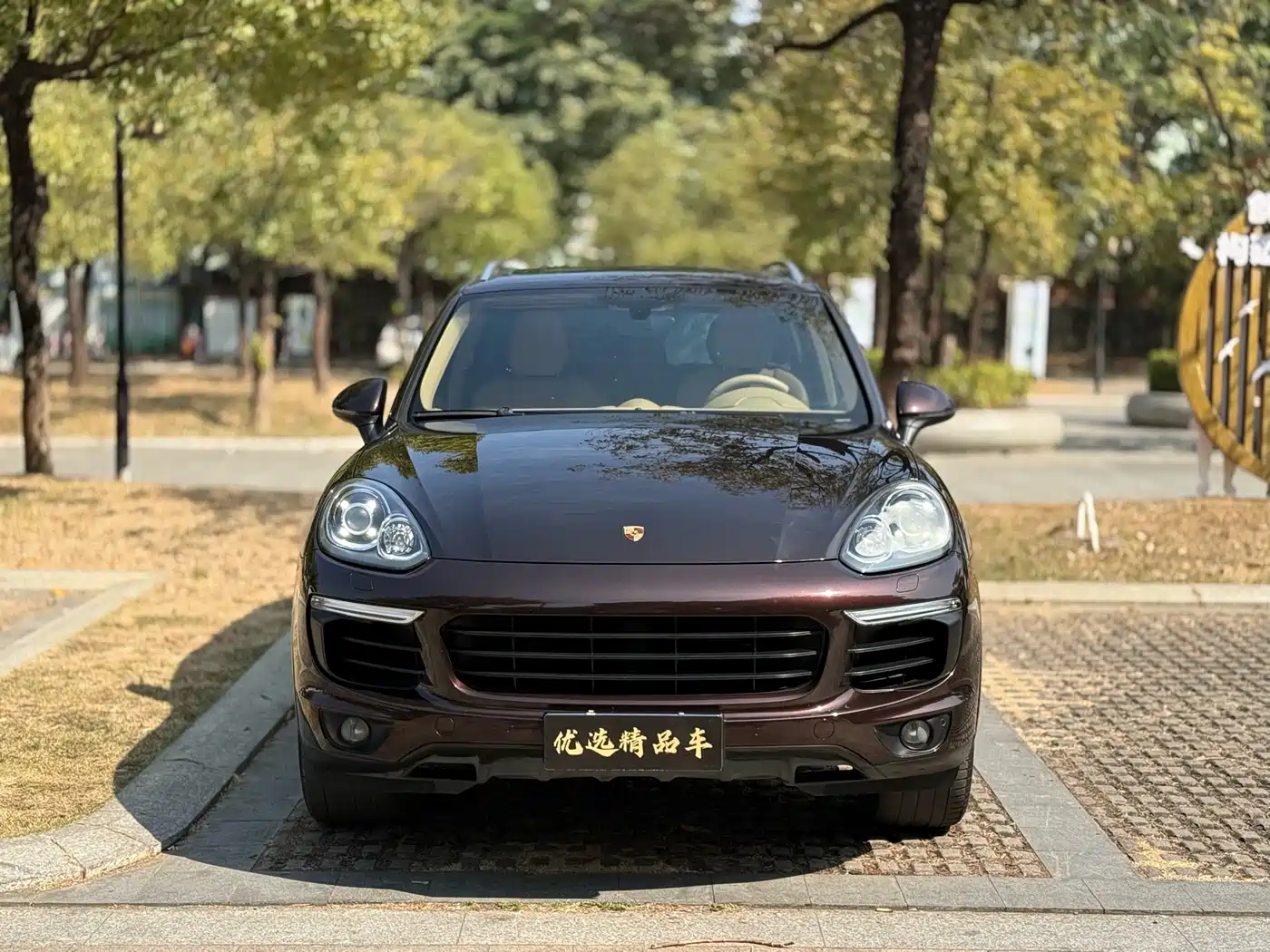 Porsche Cayenne 2016 Cayenne Platinum Edition 3.0T фото 2