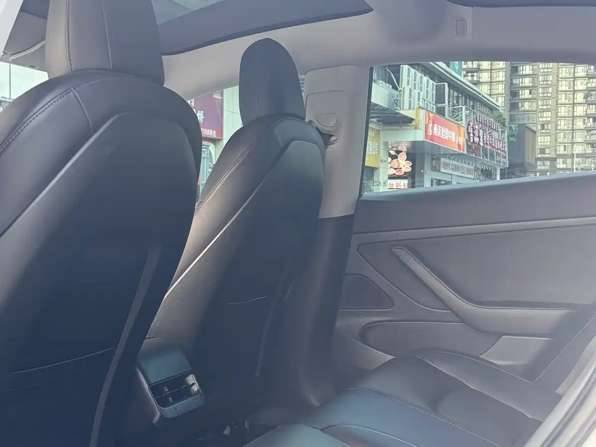 Tesla Model 3 2020 2020 Standard Range Rear-Wheel Drive Upgrade