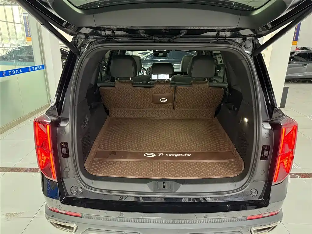 GAC Trumpchi Trumpchi GS8 2025 Pilot Series 2.0TGDI 2WD Luxury Edition 5-seater фото 17