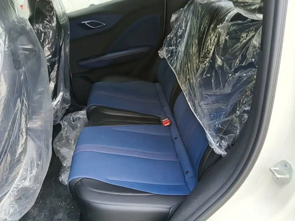 BYD Seagull 2026 2025 Smart Drive Edition 305km Vitality Version