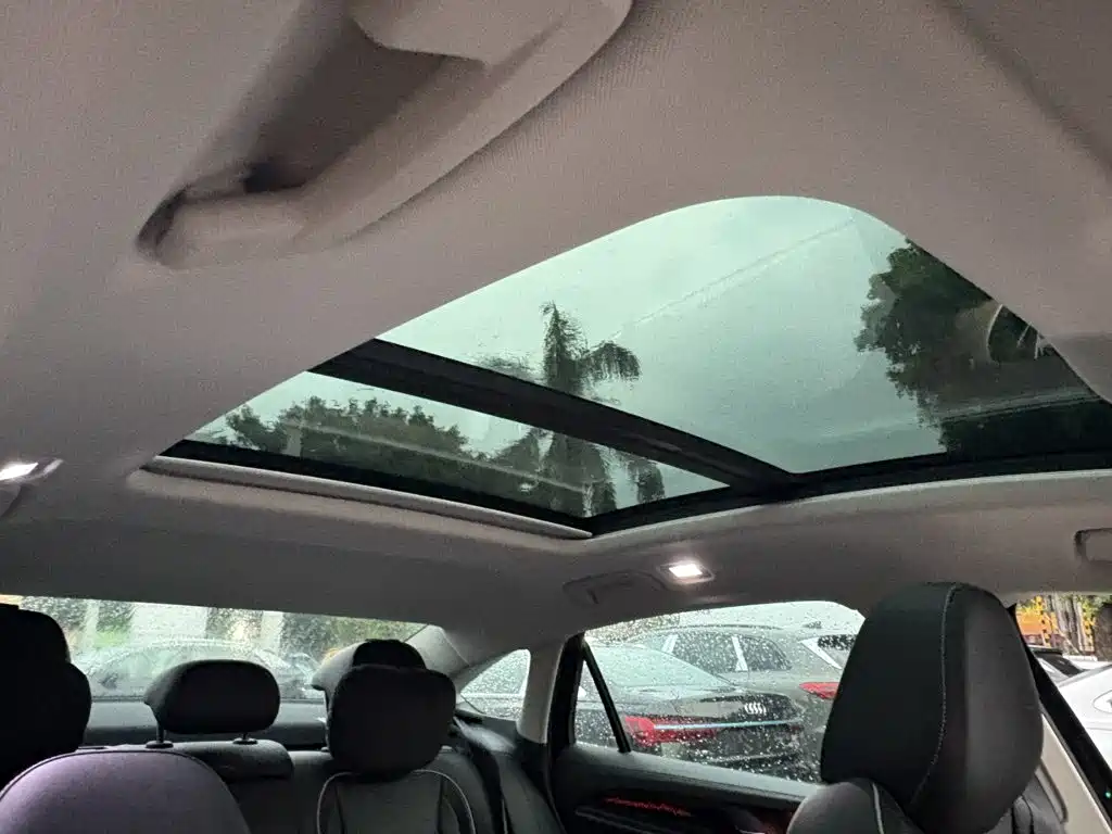 Volkswagen Magotan 2025 2024 380TSI DSG Ultimate Edition