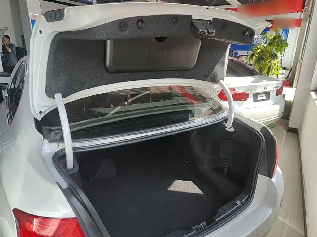 BMW 5 Series 2014 520Li Elegance фото 19